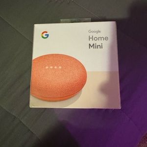 Google Home Mini (coral)